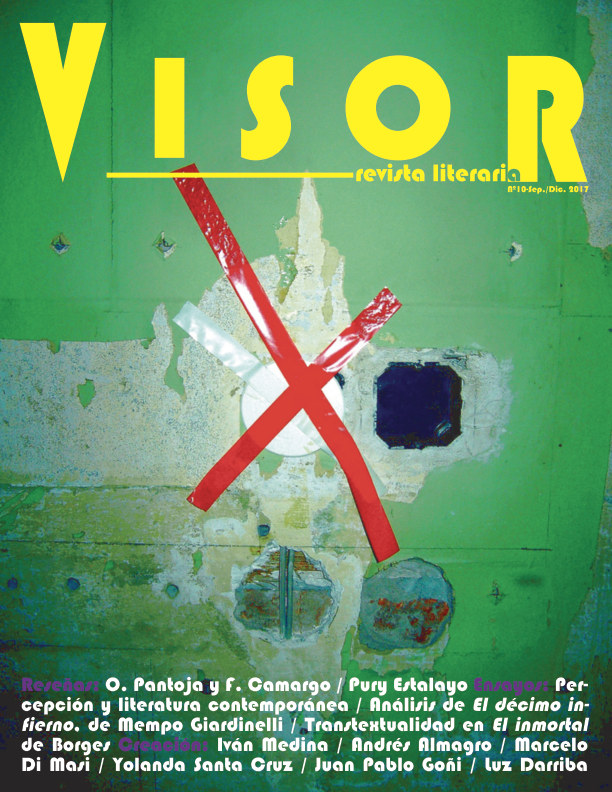 Revista Literaria Visor nº 10 by Revista Literaria Visor Blurb Books