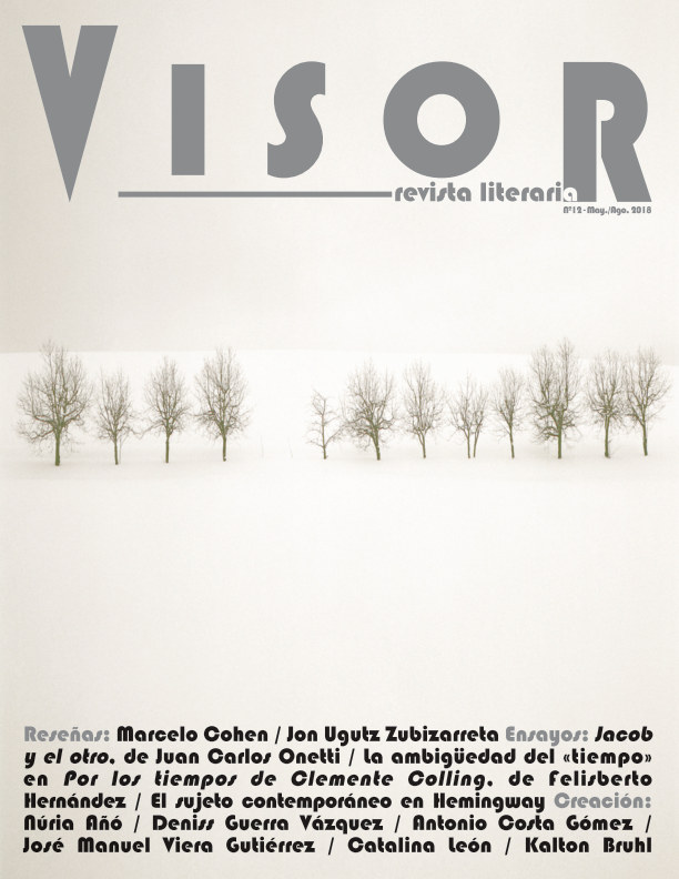 Revista Literaria Visor nº 12 de Revista Literaria Visor Libros de
