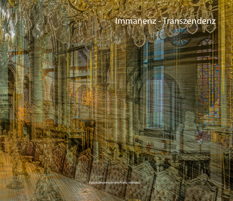 Immanenz Transzendenz by Franz Immoos Blurb Books